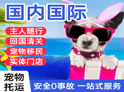 桂林两江航空物流国际宠物托运 【国